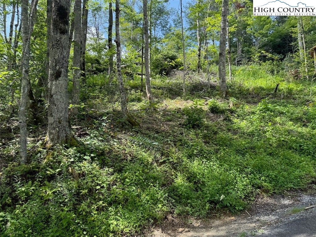 63 Timber Ridge Road Sugar Mountain, NC 28604 - Photo 3 of 15