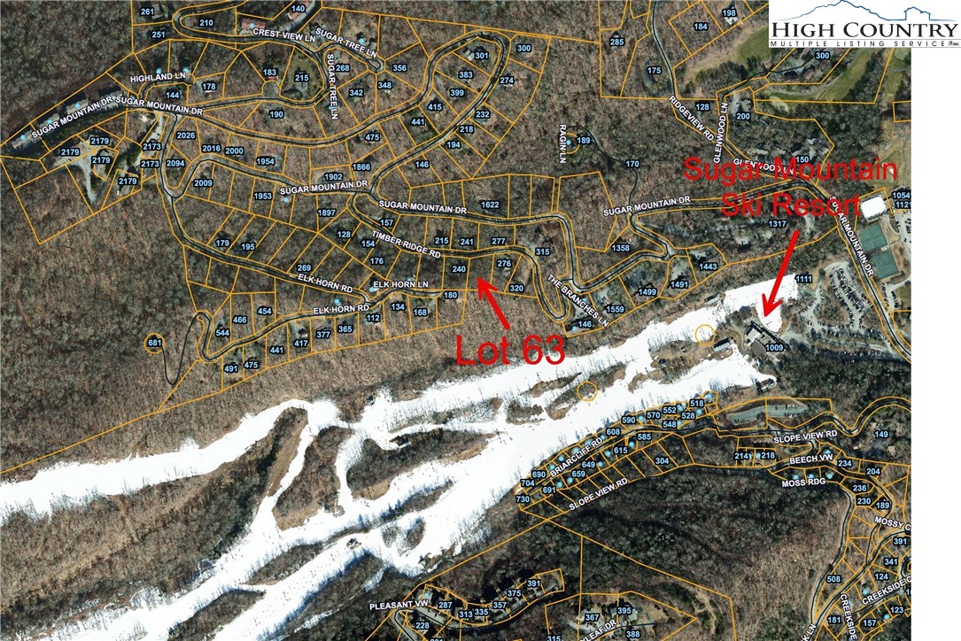 63 Timber Ridge Road Sugar Mountain, NC 28604 - Photo 4 of 15
