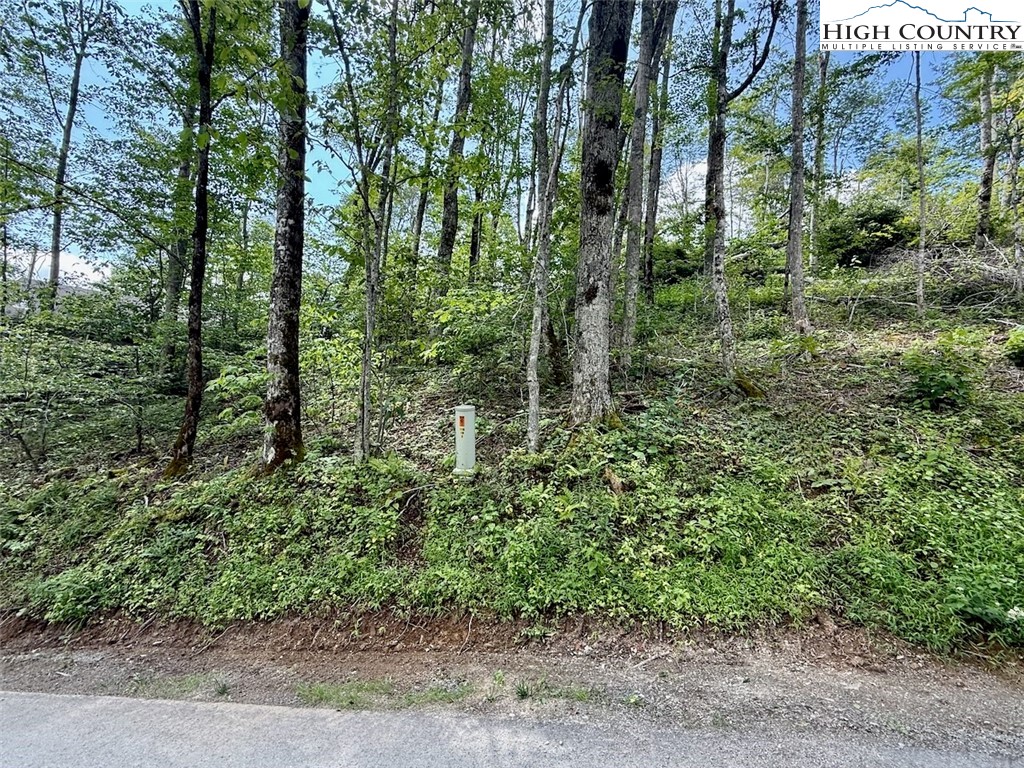 63 Timber Ridge Road Sugar Mountain, NC 28604 - Photo 6 of 15