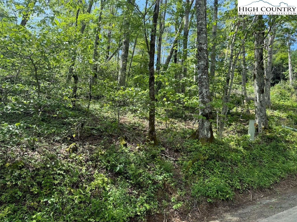 63 Timber Ridge Road Sugar Mountain, NC 28604 - Photo 7 of 15