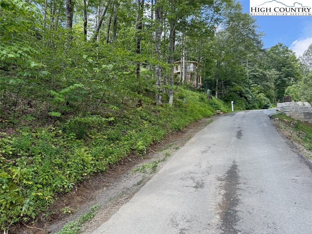 63 Timber Ridge Road Sugar Mountain, NC 28604 - Photo 8 of 15