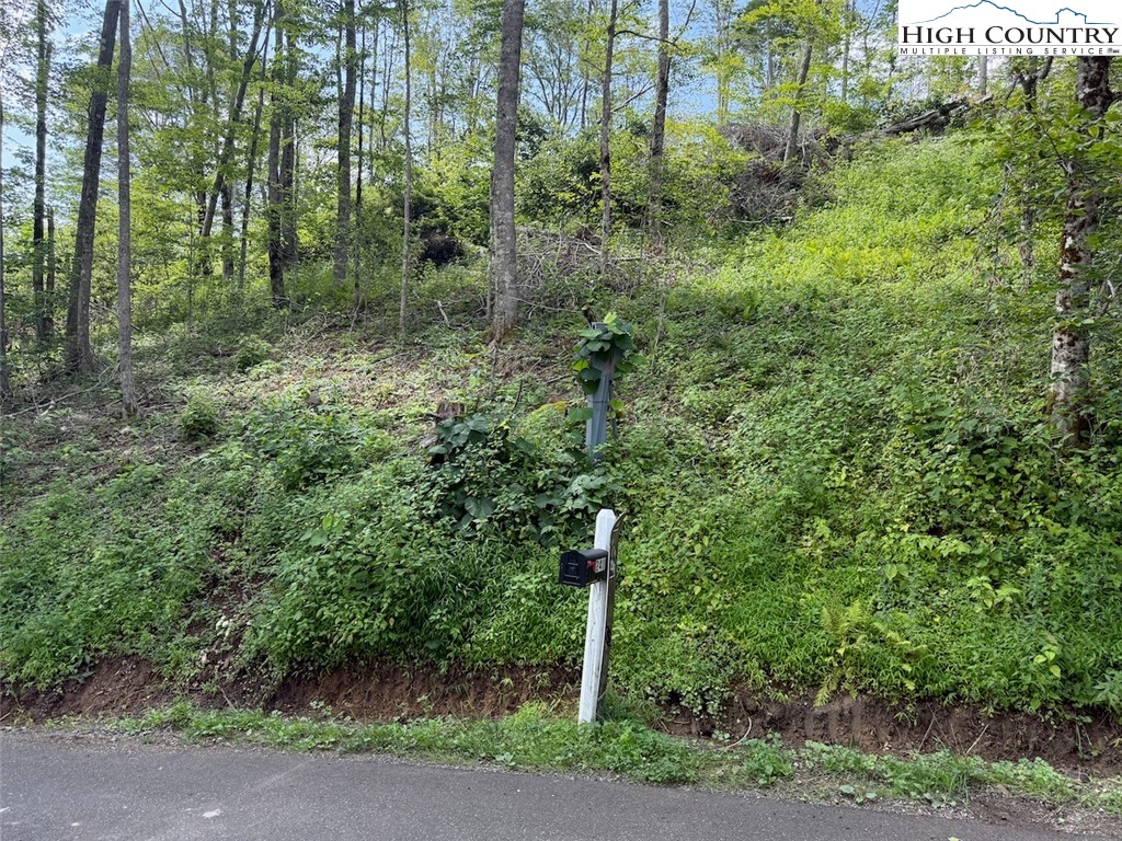 63 Timber Ridge Road Sugar Mountain, NC 28604 - Photo 9 of 15