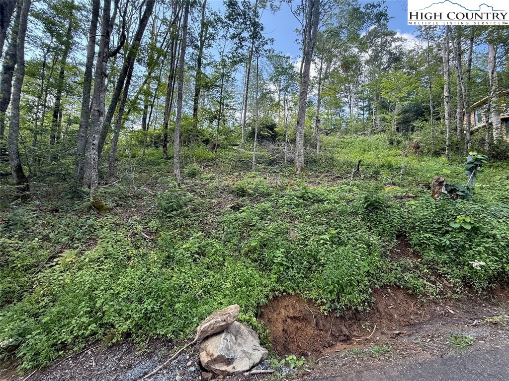 63 Timber Ridge Road Sugar Mountain, NC 28604 - Photo 10 of 15