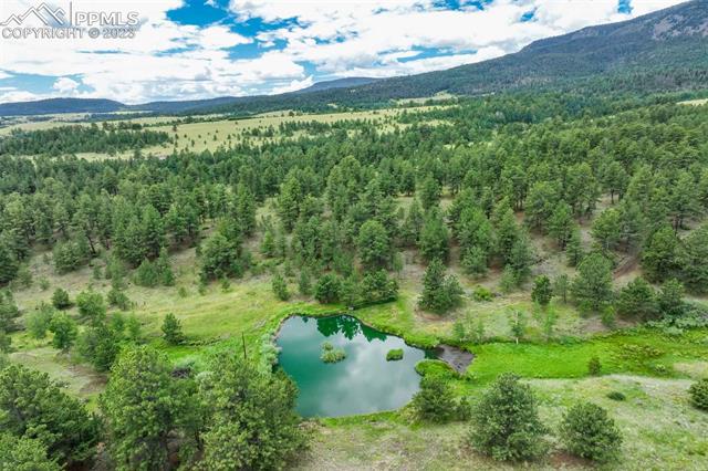 298 Allen Road Canon City, CO 81212 - Photo 46 of 50 Gallery Image 46