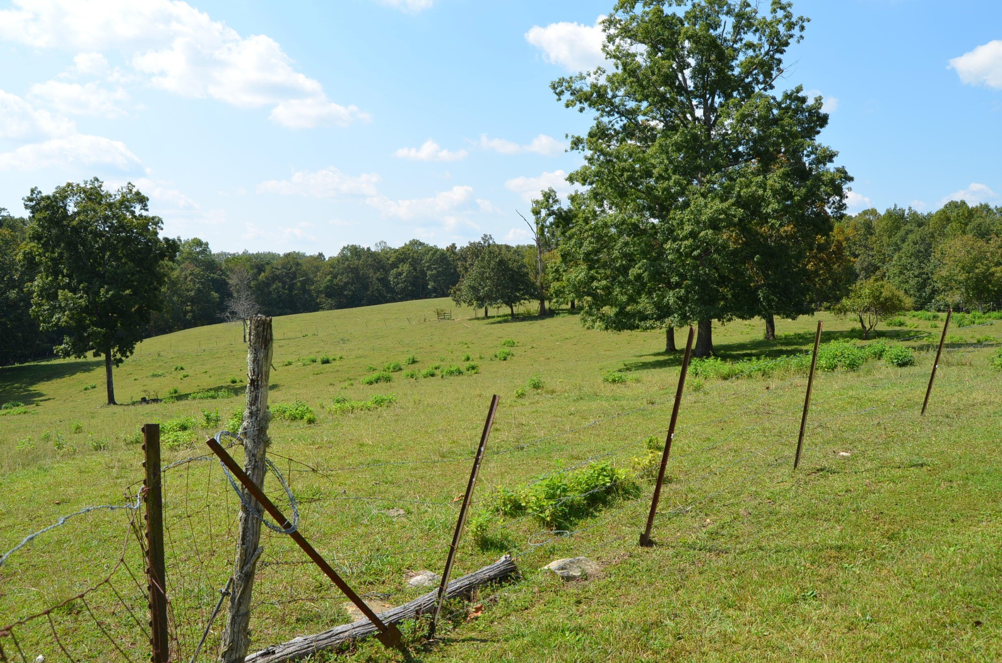 3046 Pow Camp Road Crossville, TN 38572 - Photo 18 of 31 Gallery Image 18