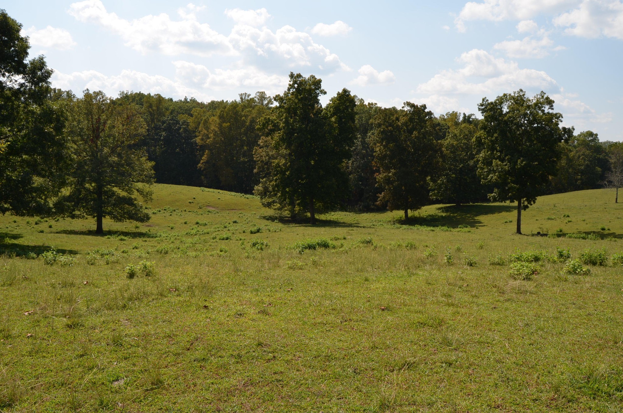 3046 Pow Camp Road Crossville, TN 38572 - Photo 19 of 31 Gallery Image 19