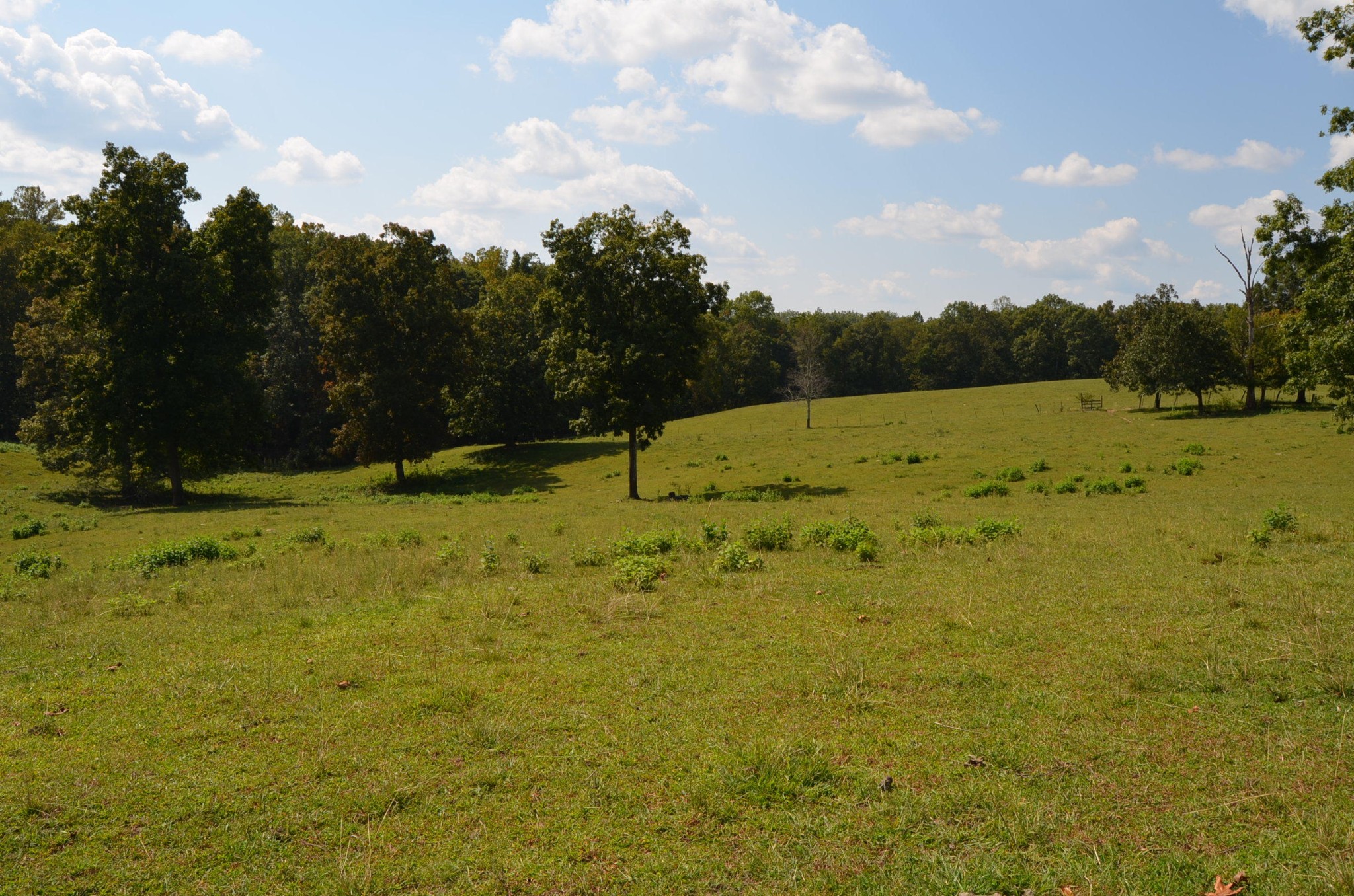 3046 Pow Camp Road Crossville, TN 38572 - Photo 20 of 31 Gallery Image 20