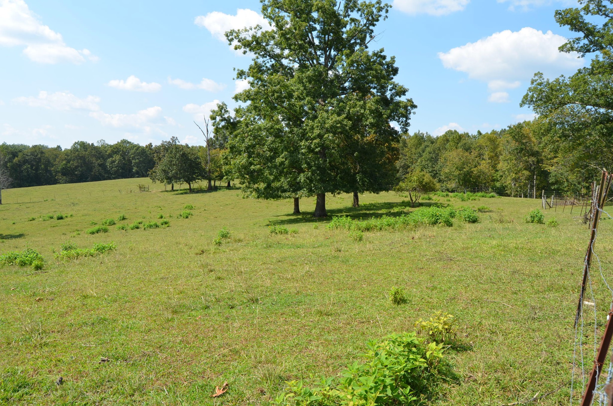 3046 Pow Camp Road Crossville, TN 38572 - Photo 21 of 31 Gallery Image 21