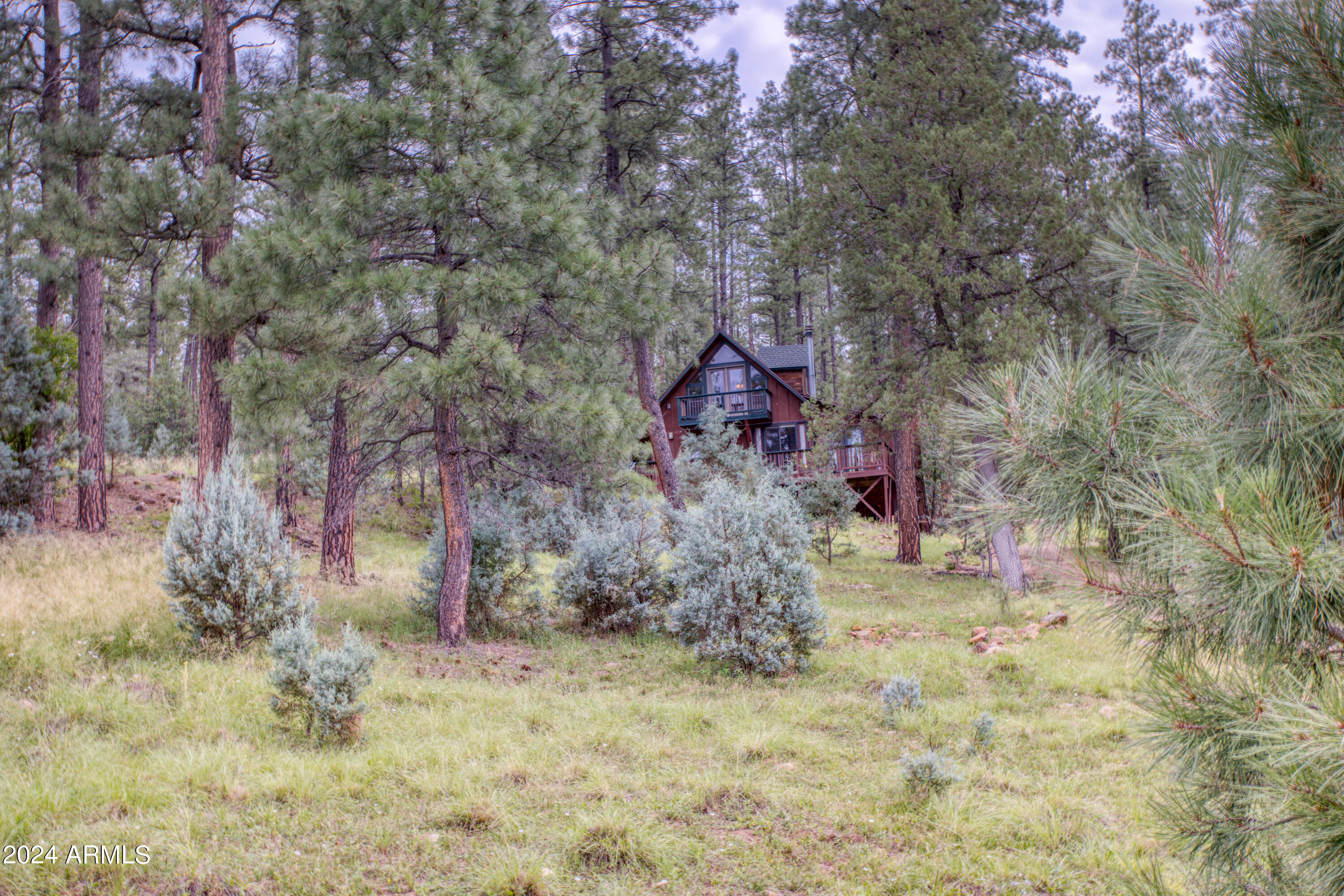 1144 Christopher Creek Loop Christopher Creek, AZ 85541 - Photo 37 of 43 Paxmanphoto_PAX_2599