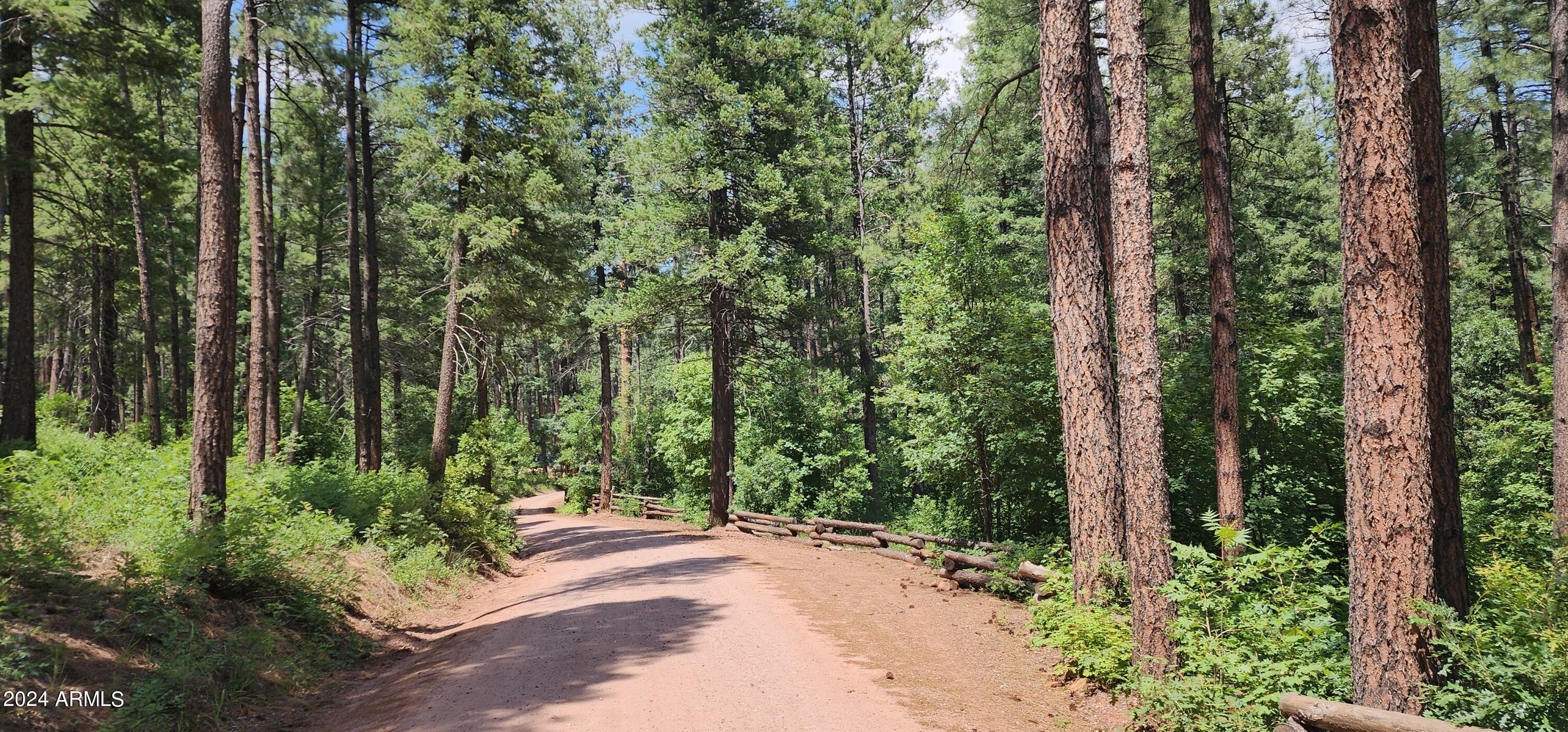 1144 Christopher Creek Loop Christopher Creek, AZ 85541 - Photo 39 of 43 road to See