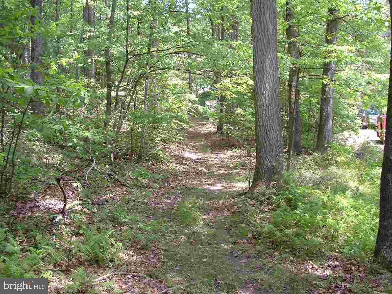 806 Hunters Valley Road Liverpool, PA 17045 - Photo 42 of 46 Gallery Image 42