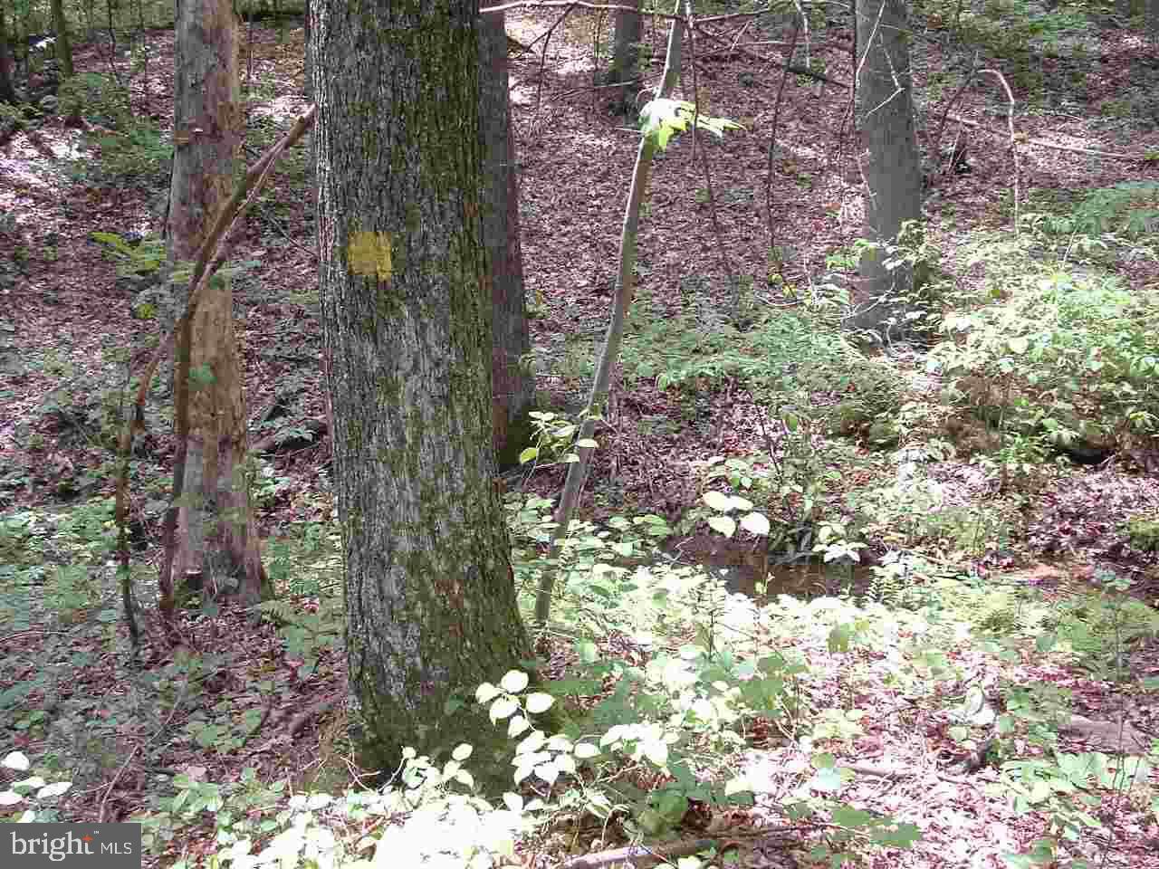 806 Hunters Valley Road Liverpool, PA 17045 - Photo 43 of 46 Gallery Image 43