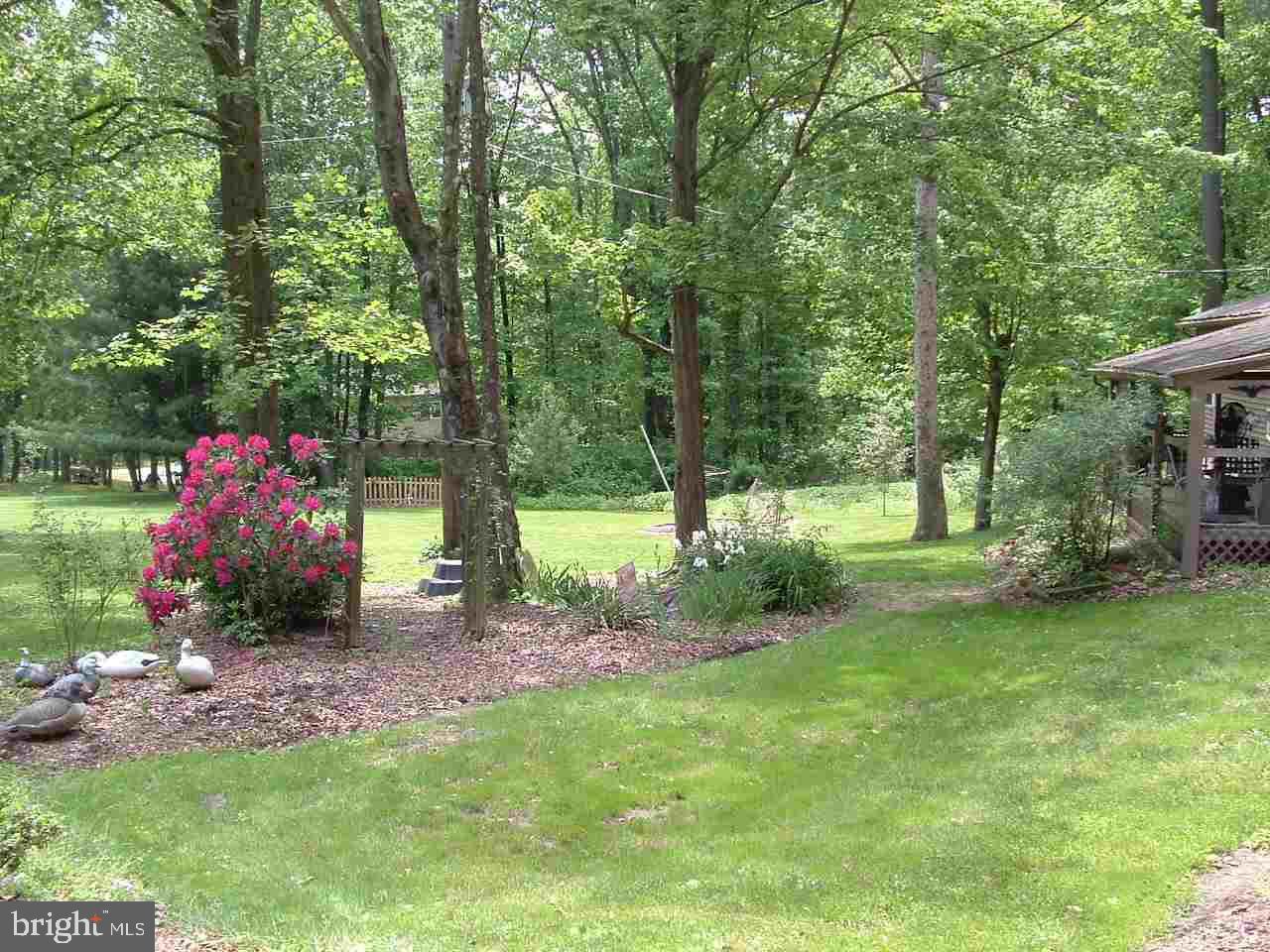 806 Hunters Valley Road Liverpool, PA 17045 - Photo 45 of 46 Gallery Image 45
