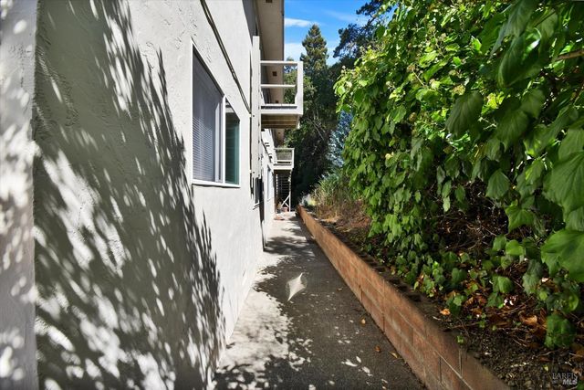 a view of a pathway both side of house