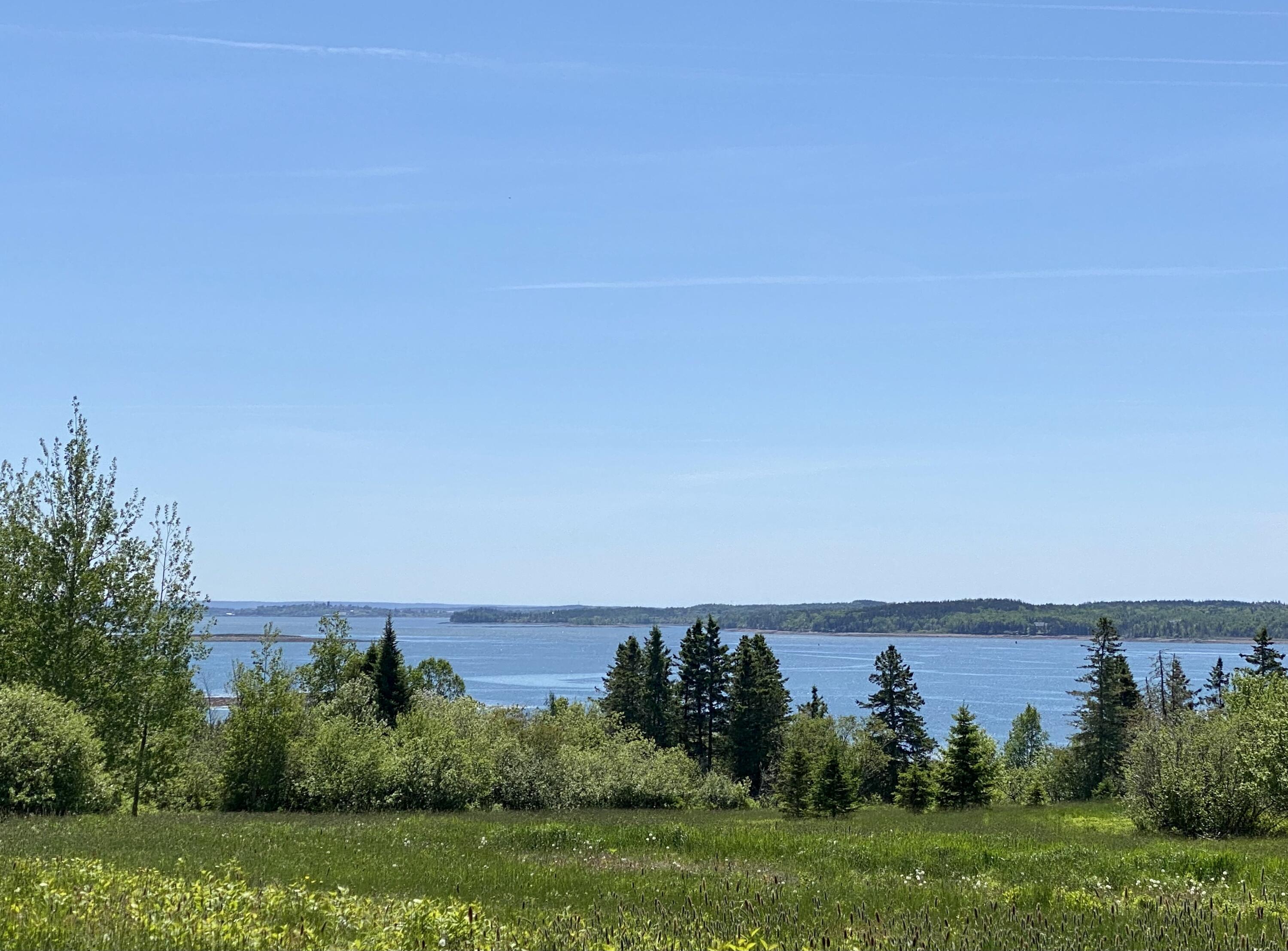 91 Lincoln Cove Road Perry, ME 04667 - Photo 2 of 77 9E7B2175-C9FF-4AFC-8EFB-AD2880719A03