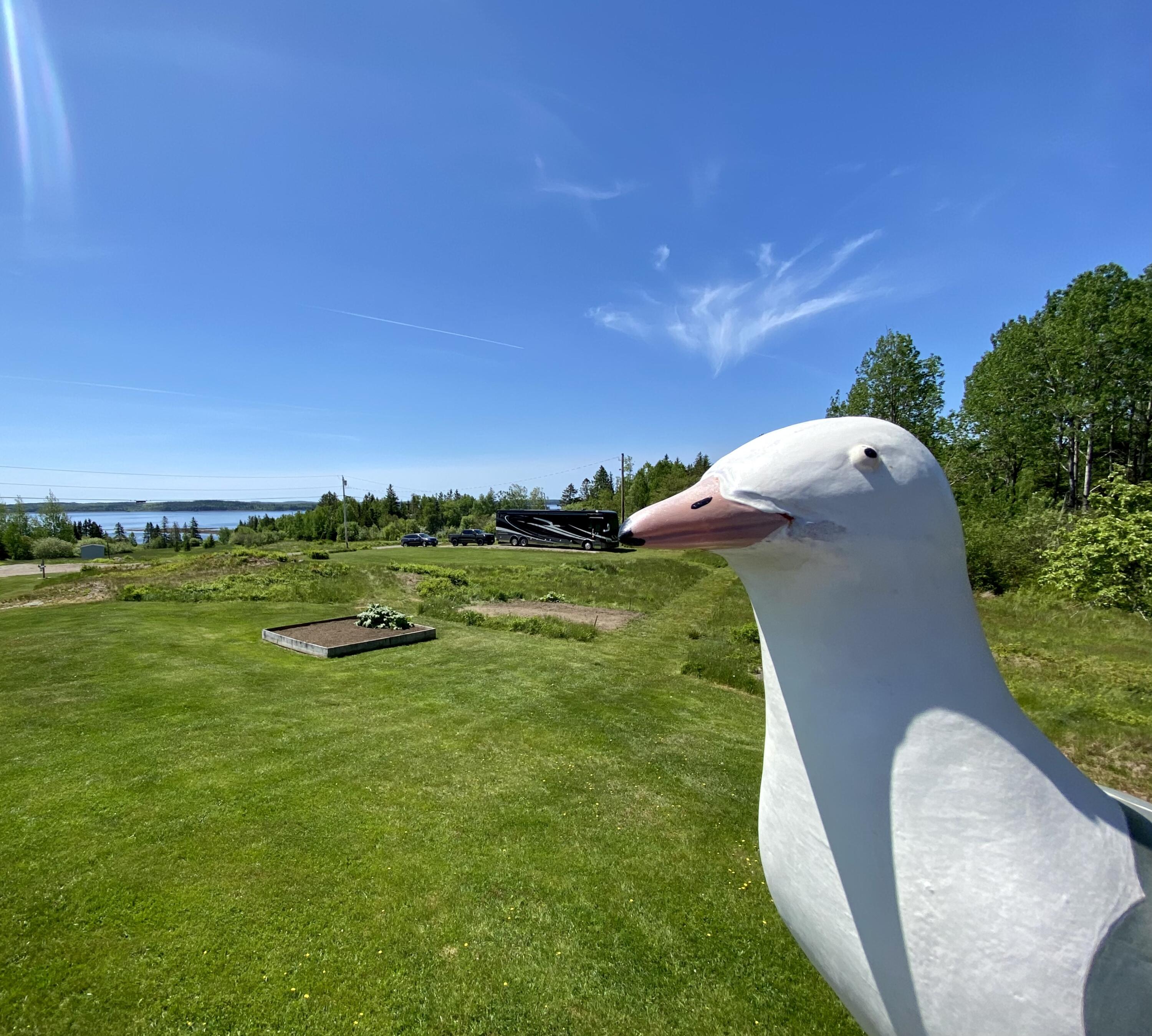 91 Lincoln Cove Road Perry, ME 04667 - Photo 37 of 77 FA5CE30A-4F63-422E-87D3-666BB773040F