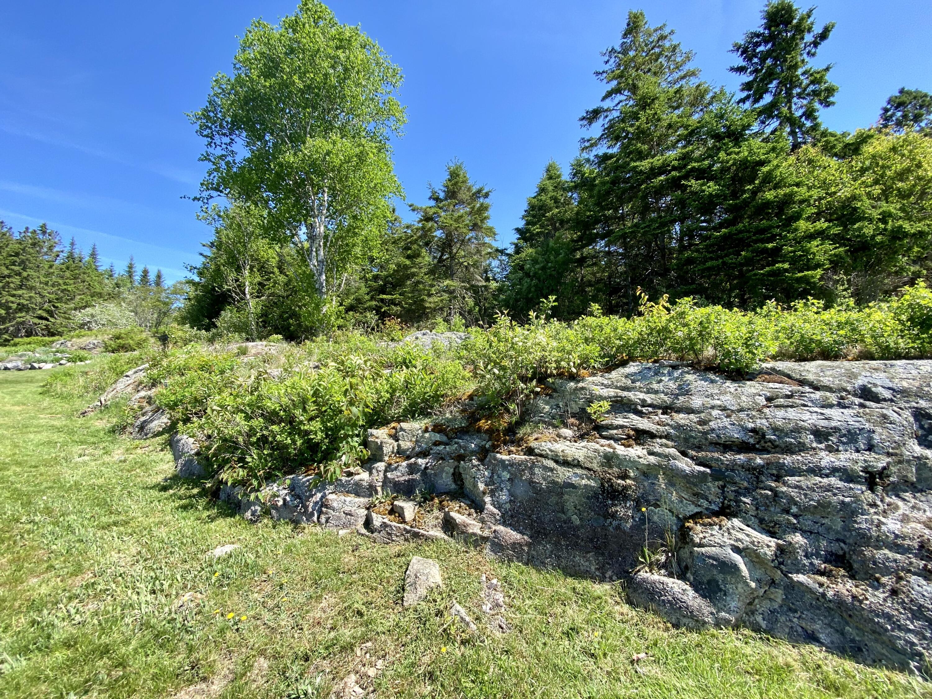 91 Lincoln Cove Road Perry, ME 04667 - Photo 69 of 77 864A79ED-9B13-4465-BC78-884C8907E0F5