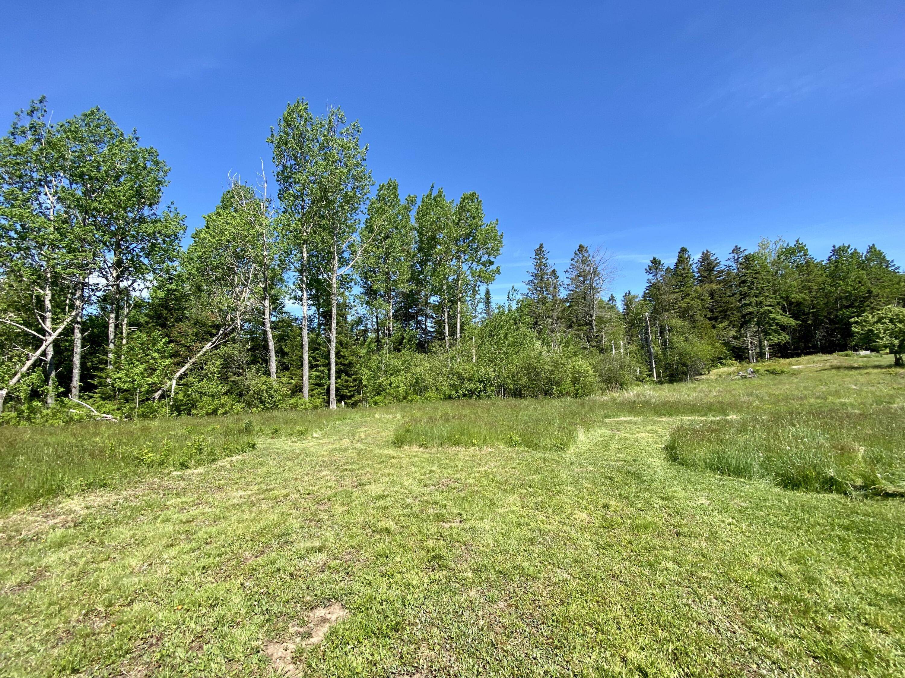 91 Lincoln Cove Road Perry, ME 04667 - Photo 75 of 77 BBF007F2-F14E-4242-A7F8-0E7AF2804800