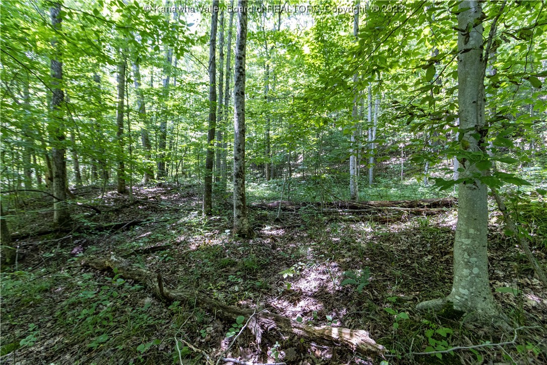 0 Hidden Farms Road Poca, WV 25159 - Photo 18 of 27 Gallery Image 18