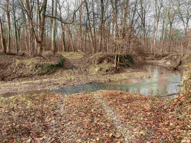 $242,000 | East 1650th Avenue, Hutsonville, IL 62433