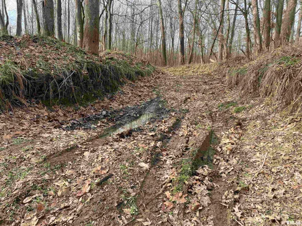 $242,000 | East 1650th Avenue, Hutsonville, IL 62433