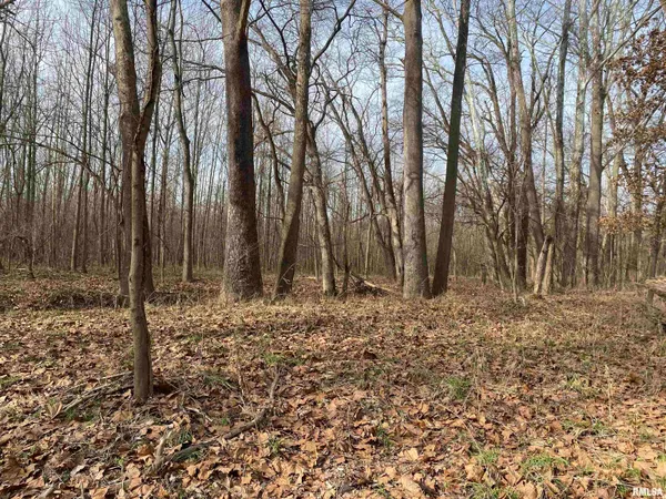 $242,000 | East 1650th Avenue, Hutsonville, IL 62433