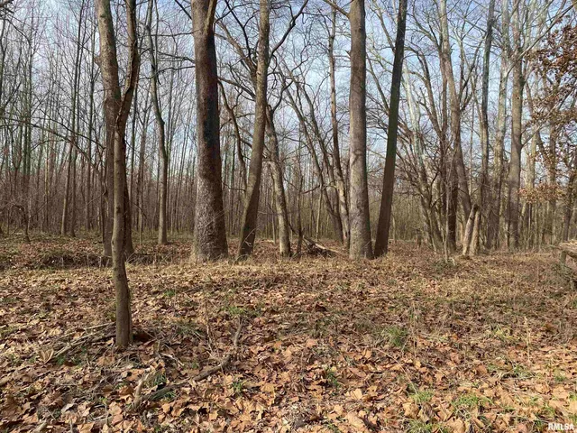 $242,000 | East 1650th Avenue, Hutsonville, IL 62433