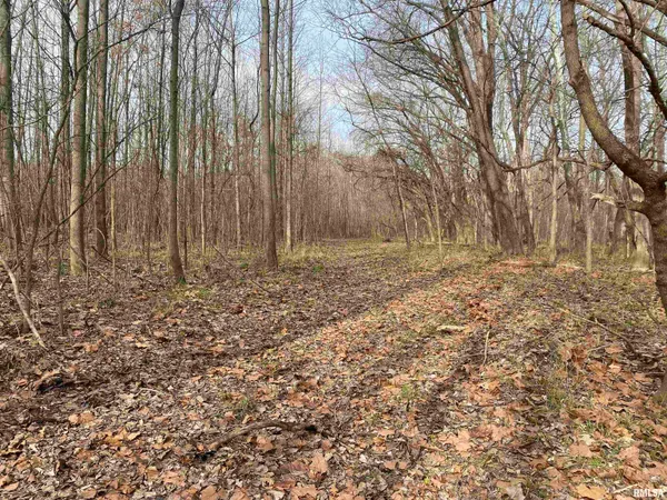 $242,000 | East 1650th Avenue, Hutsonville, IL 62433