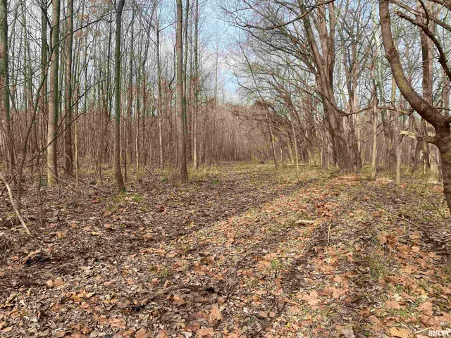 $242,000 | East 1650th Avenue, Hutsonville, IL 62433