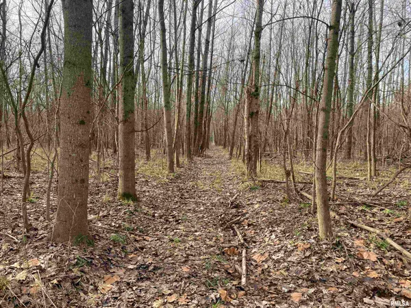 $242,000 | East 1650th Avenue, Hutsonville, IL 62433