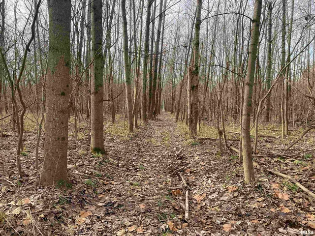 $242,000 | East 1650th Avenue, Hutsonville, IL 62433