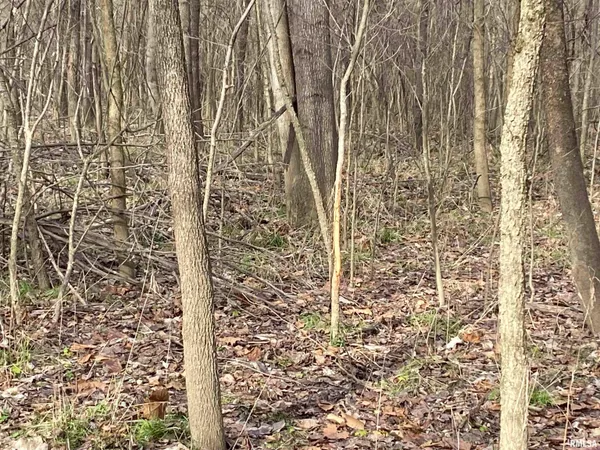 $242,000 | East 1650th Avenue, Hutsonville, IL 62433