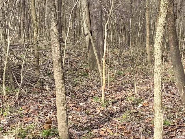 $242,000 | East 1650th Avenue, Hutsonville, IL 62433