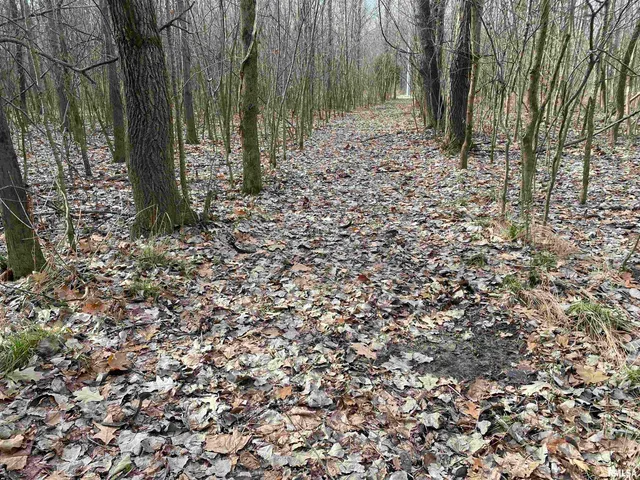 $242,000 | East 1650th Avenue, Hutsonville, IL 62433