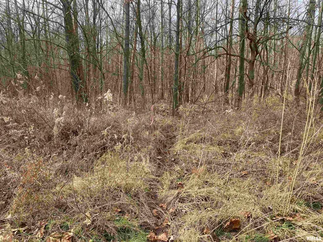 $242,000 | East 1650th Avenue, Hutsonville, IL 62433