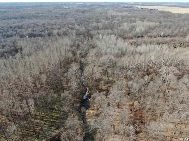 $242,000 | East 1650th Avenue, Hutsonville, IL 62433