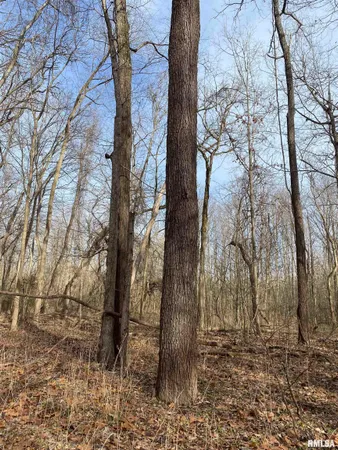 $242,000 | East 1650th Avenue, Hutsonville, IL 62433