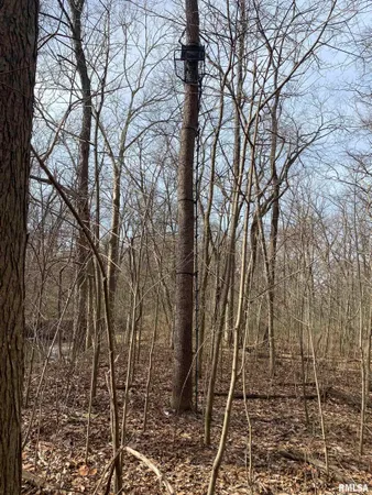 $242,000 | East 1650th Avenue, Hutsonville, IL 62433