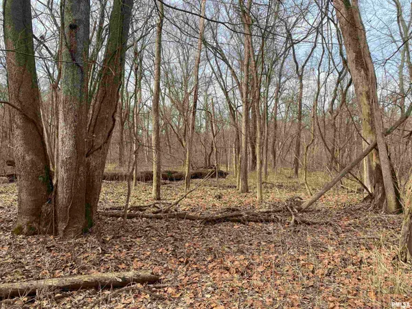 $242,000 | East 1650th Avenue, Hutsonville, IL 62433