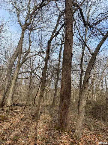 $242,000 | East 1650th Avenue, Hutsonville, IL 62433