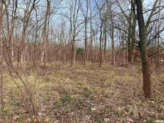 $242,000 | East 1650th Avenue, Hutsonville, IL 62433