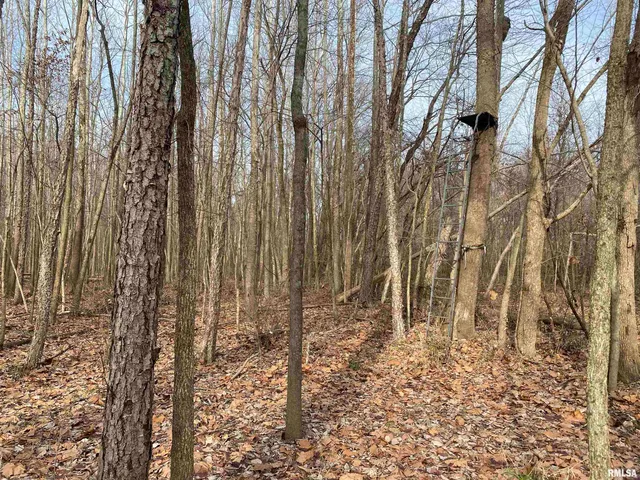 $242,000 | East 1650th Avenue, Hutsonville, IL 62433