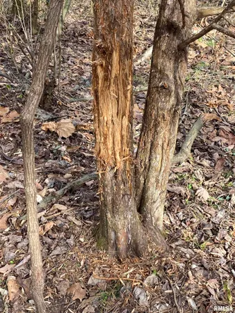 $242,000 | East 1650th Avenue, Hutsonville, IL 62433