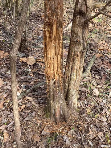 $242,000 | East 1650th Avenue, Hutsonville, IL 62433