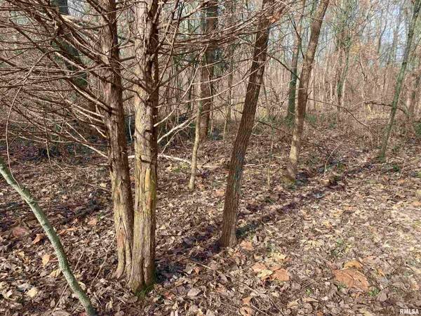 $242,000 | East 1650th Avenue, Hutsonville, IL 62433