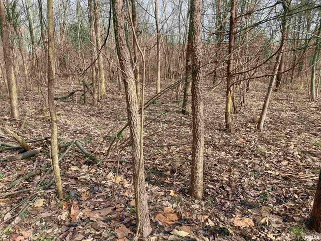 $242,000 | East 1650th Avenue, Hutsonville, IL 62433