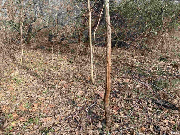 $242,000 | East 1650th Avenue, Hutsonville, IL 62433