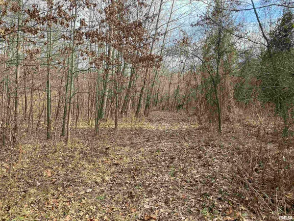 $242,000 | East 1650th Avenue, Hutsonville, IL 62433