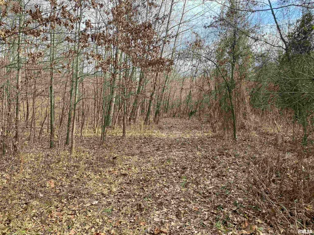 $242,000 | East 1650th Avenue, Hutsonville, IL 62433