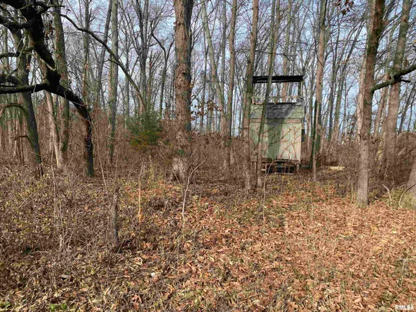 $242,000 | East 1650th Avenue, Hutsonville, IL 62433